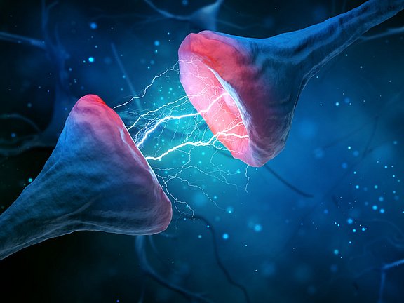 Keltican<sup>®</sup> forte – Signalübertragung zwischen den Nervenzellen